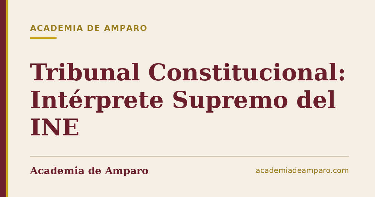 Tribunal Constitucional: Intérprete Supremo del INE