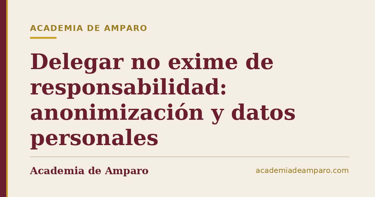 Delegar no exime de responsabilidad: anonimización y datos personales