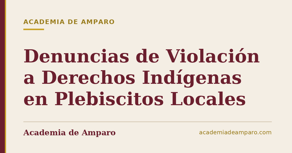 Denuncias de Violación a Derechos Indígenas en Plebiscitos Locales
