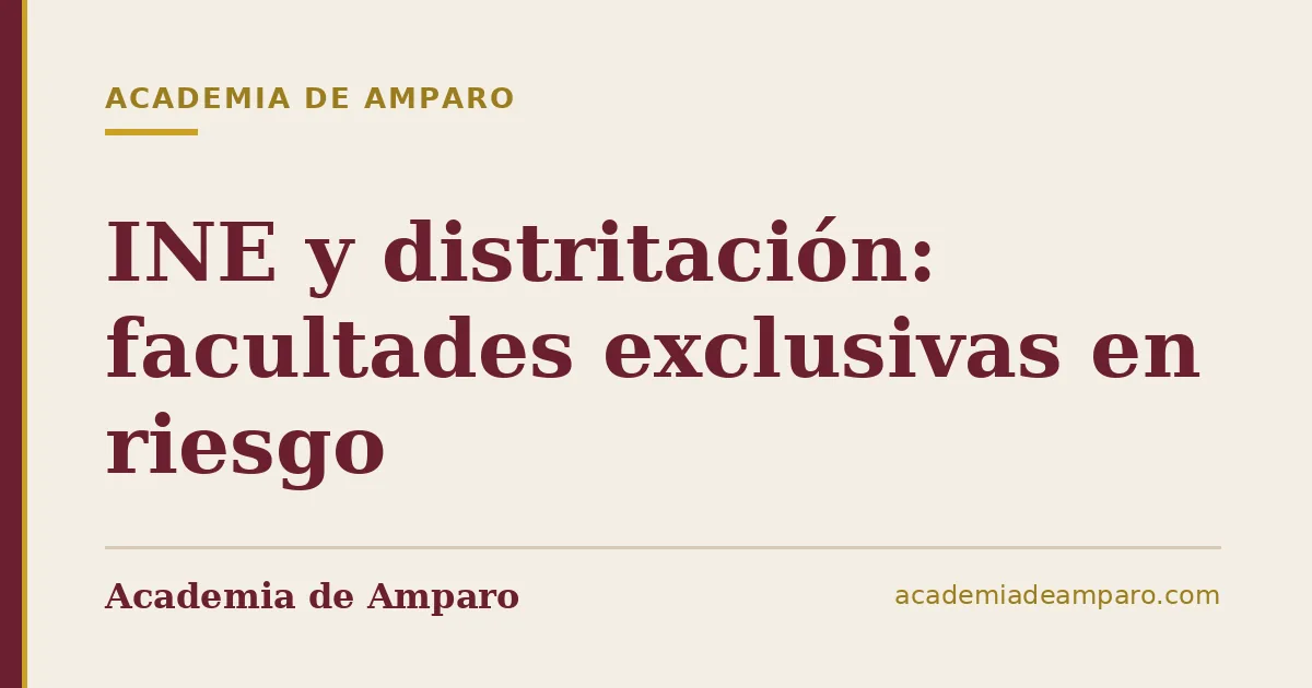 INE y distritación: facultades exclusivas en riesgo