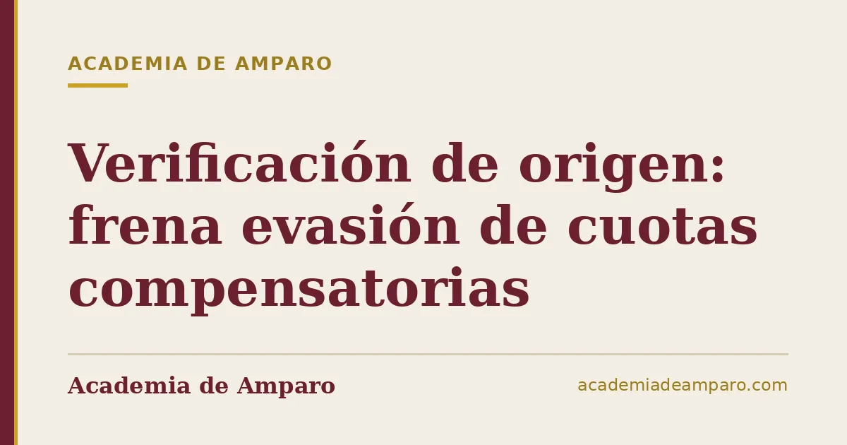 Verificación de origen: frena evasión de cuotas compensatorias