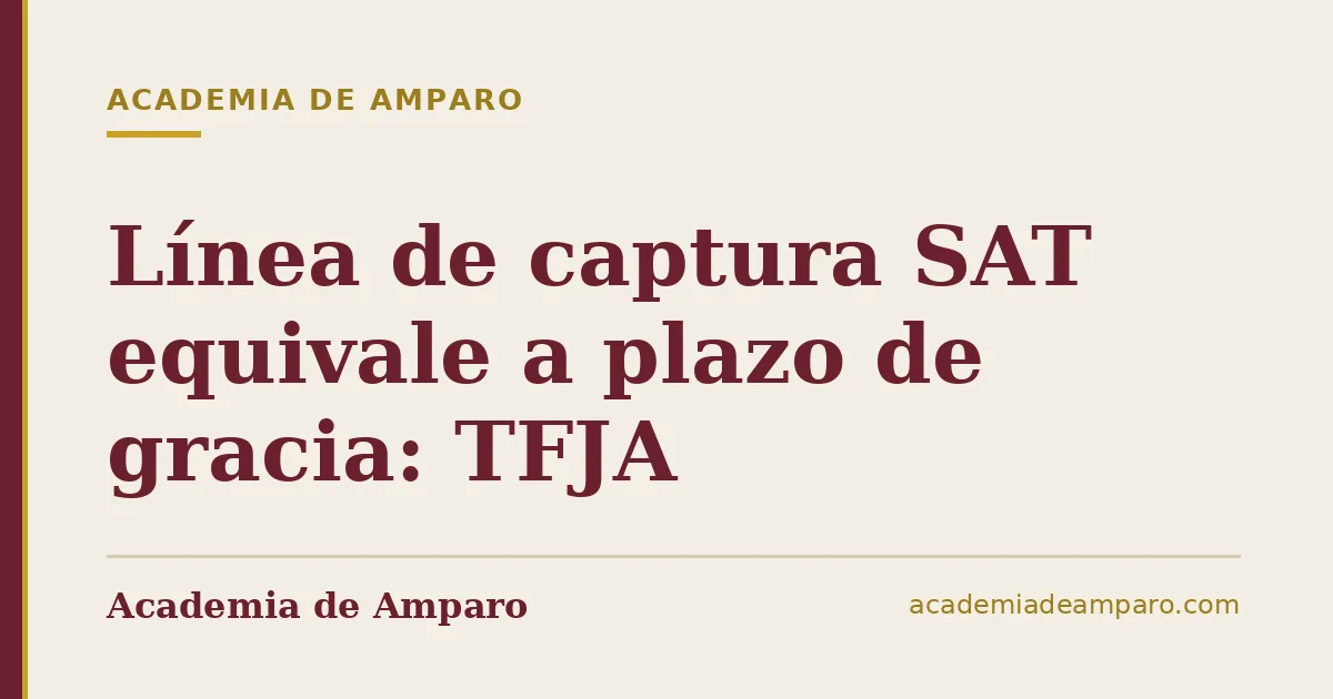 Línea de captura SAT equivale a plazo de gracia: TFJA