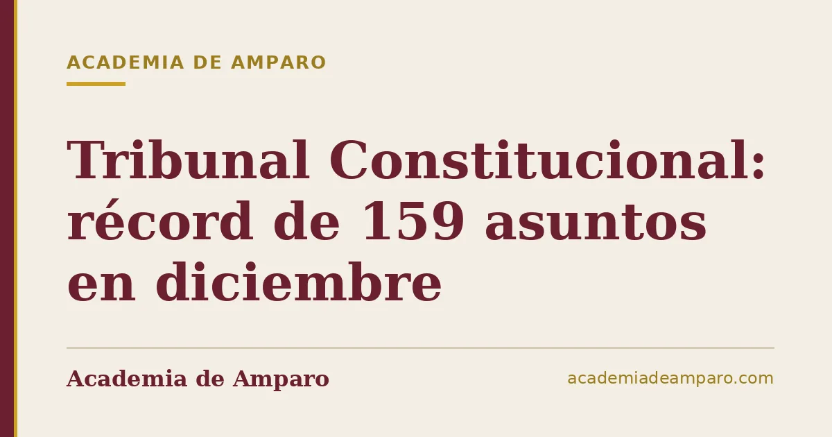 Tribunal Constitucional: récord de 159 asuntos en diciembre