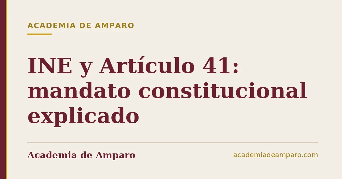 INE y Artículo 41: mandato constitucional explicado