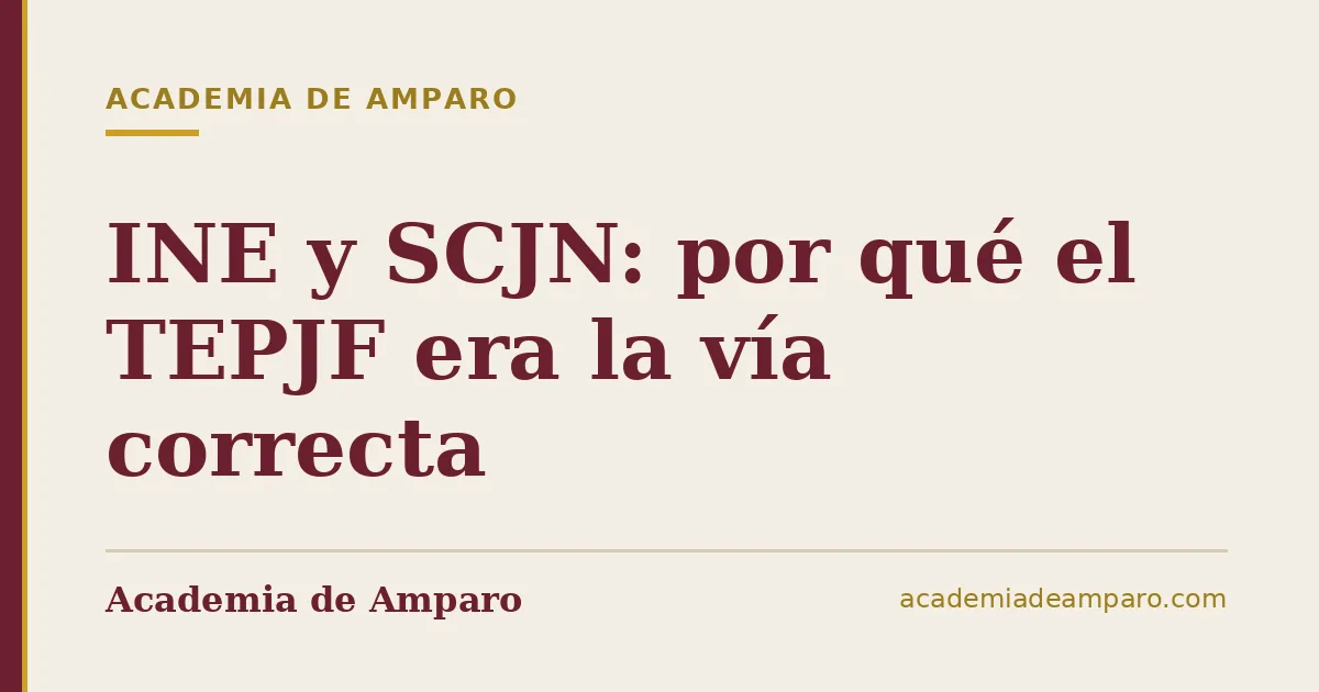 INE y SCJN: por qué el TEPJF era la vía correcta