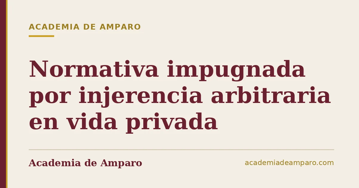 Normativa impugnada por injerencia arbitraria en vida privada