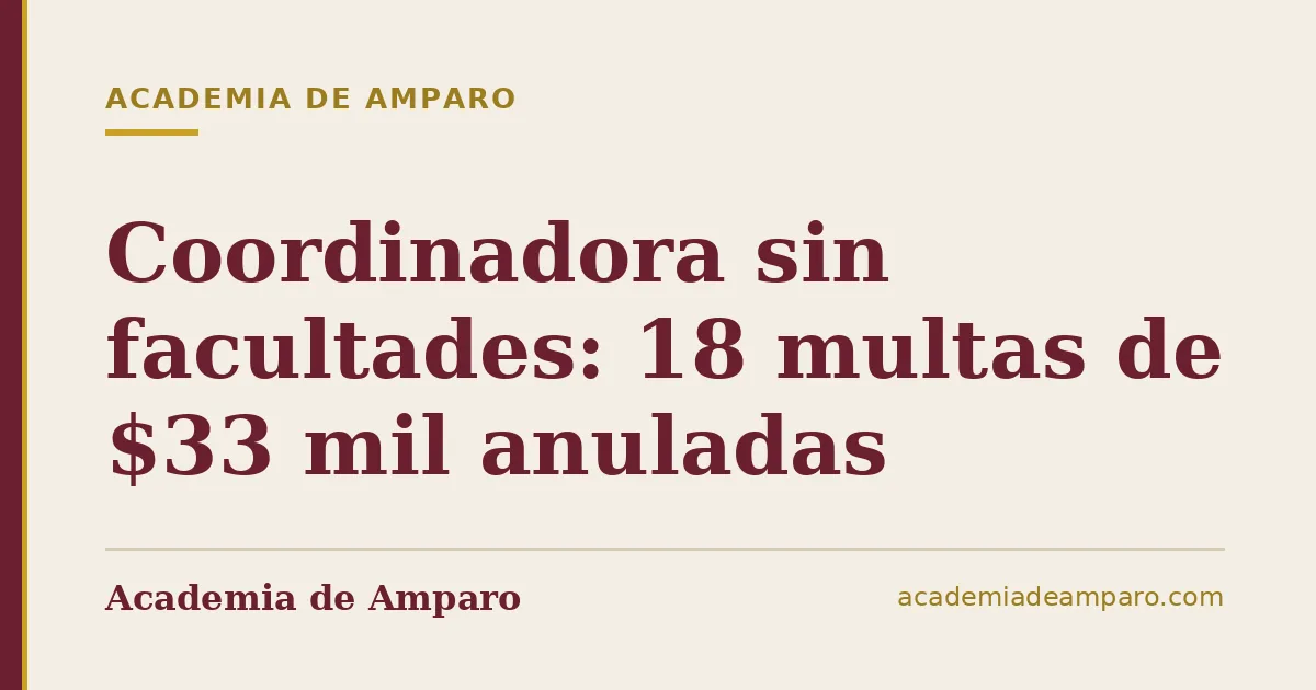 Coordinadora sin facultades: 18 multas de $33 mil anuladas