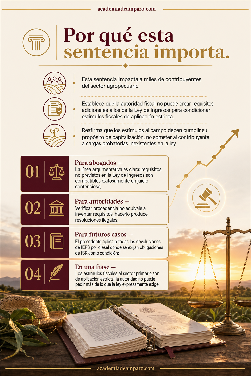 La razón de la decisión - El SAT no puede inventar requisitos para negar estímulos