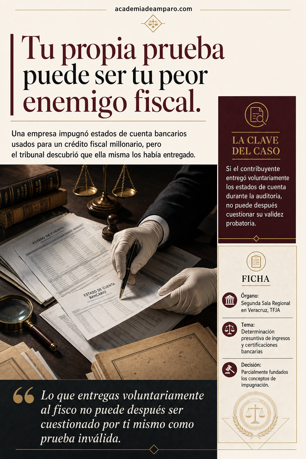 Pruebas aportadas por el contribuyente en auditoría TFJA