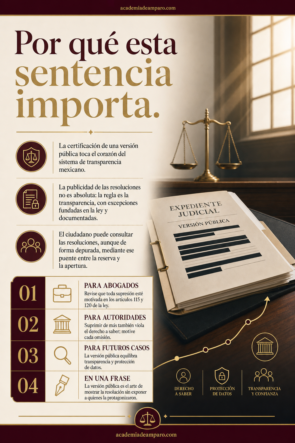 La razón de la decisión - La versión pública que casi lo borra todo